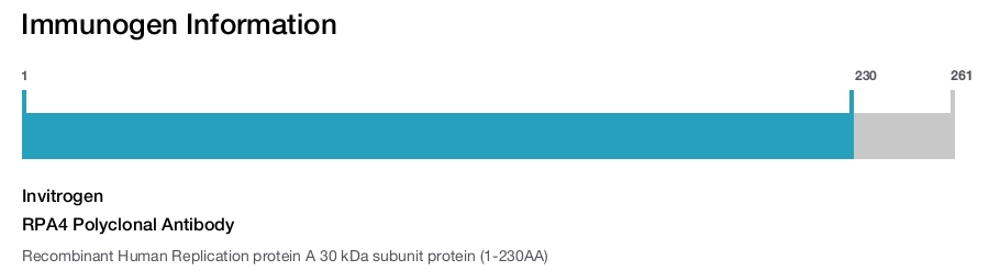 RPA4 Polyclonal Antibody