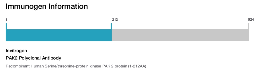 PAK2 Polyclonal Antibody