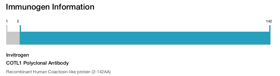 COTL1 Polyclonal Antibody