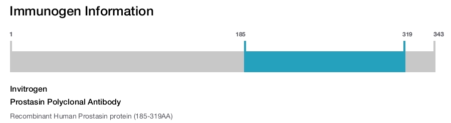 Prostasin Polyclonal Antibody