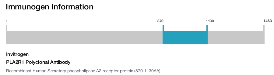 PLA2R1 Polyclonal Antibody