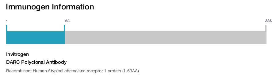 DARC Polyclonal Antibody