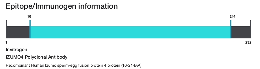 IZUMO4 Polyclonal Antibody