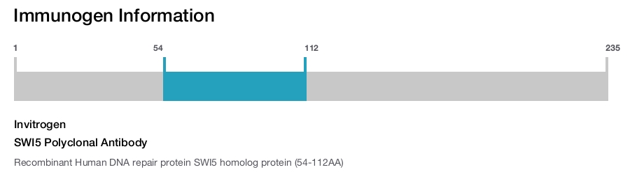 SWI5 Polyclonal Antibody