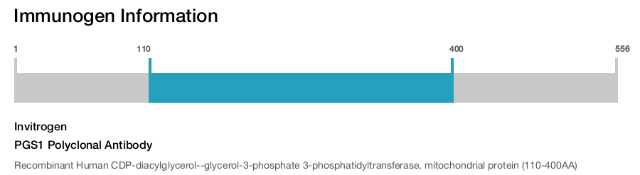 PGS1 Polyclonal Antibody