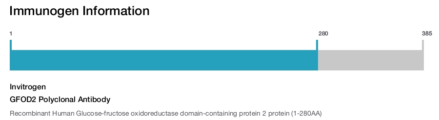 GFOD2 Polyclonal Antibody