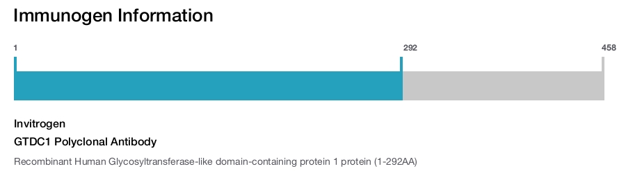 GTDC1 Polyclonal Antibody