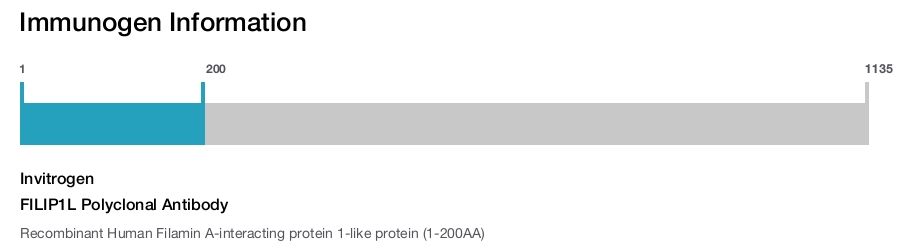 FILIP1L Polyclonal Antibody