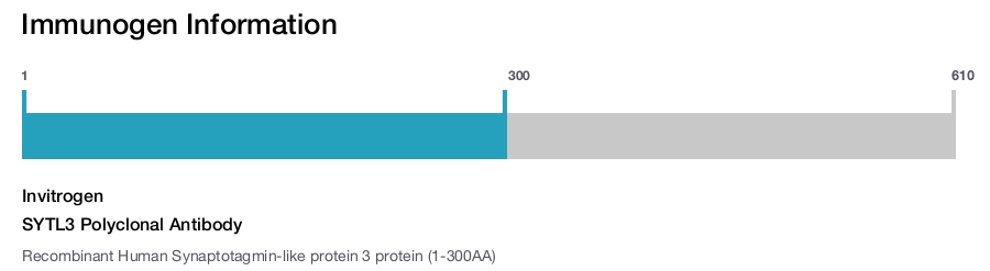 SYTL3 Polyclonal Antibody
