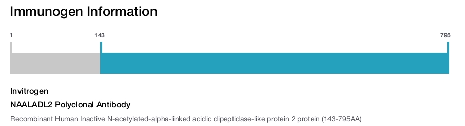 NAALADL2 Polyclonal Antibody
