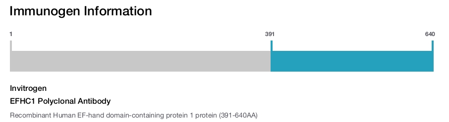 EFHC1 Polyclonal Antibody