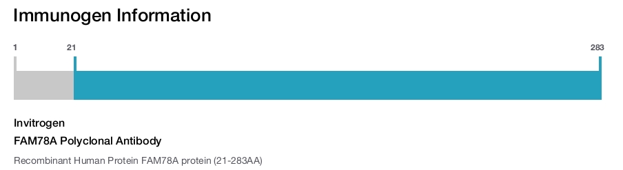 FAM78A Polyclonal Antibody