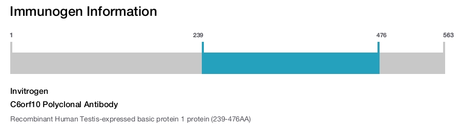 C6orf10 Polyclonal Antibody