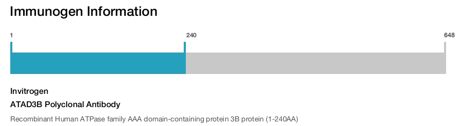 ATAD3B Polyclonal Antibody