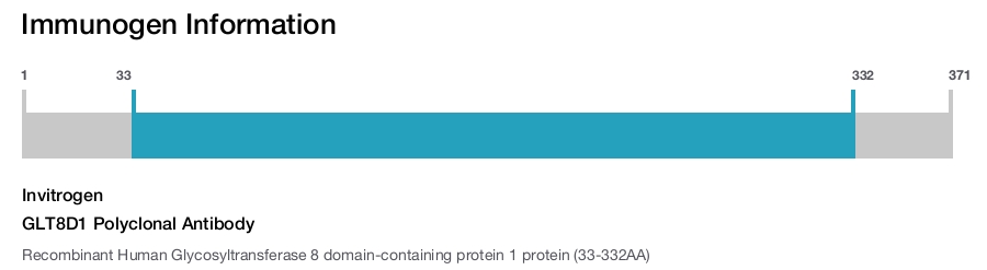 GLT8D1 Polyclonal Antibody