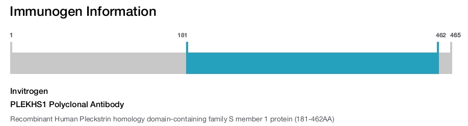 PLEKHS1 Polyclonal Antibody