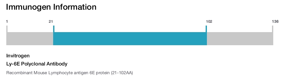 Ly-6E Polyclonal Antibody