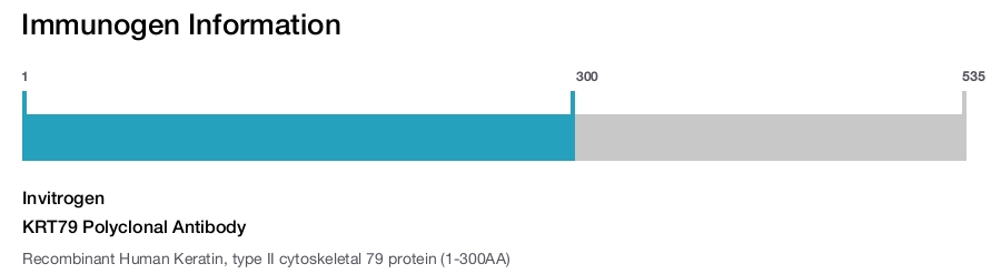 KRT79 Polyclonal Antibody