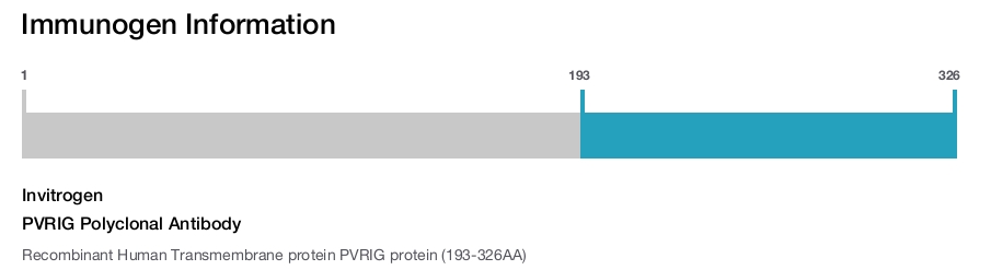 PVRIG Polyclonal Antibody