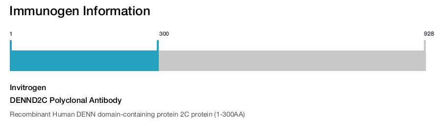 DENND2C Polyclonal Antibody