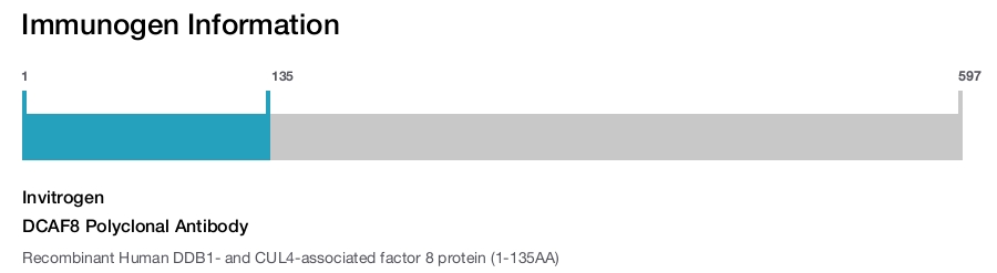DCAF8 Polyclonal Antibody