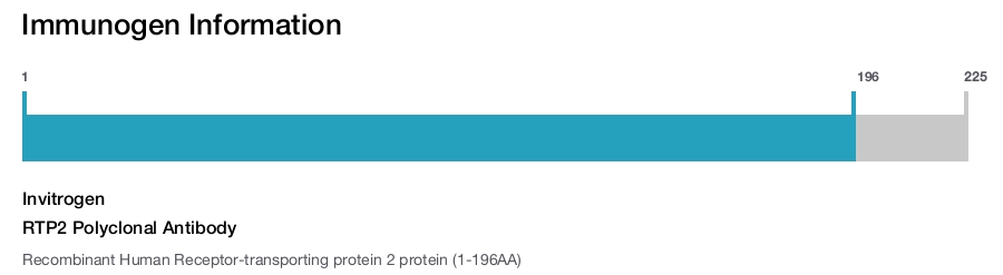 RTP2 Polyclonal Antibody