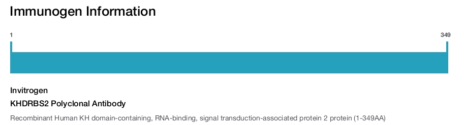 KHDRBS2 Polyclonal Antibody