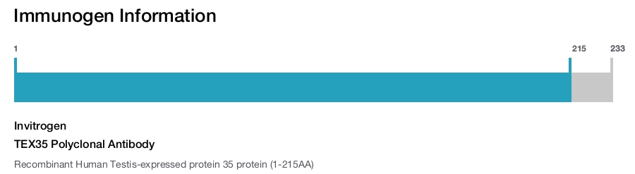 TEX35 Polyclonal Antibody
