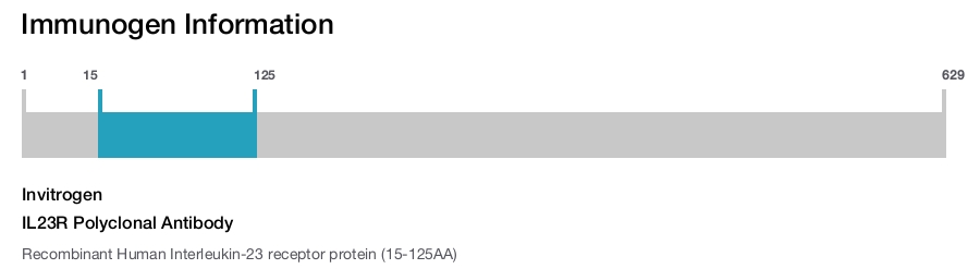 IL23R Polyclonal Antibody