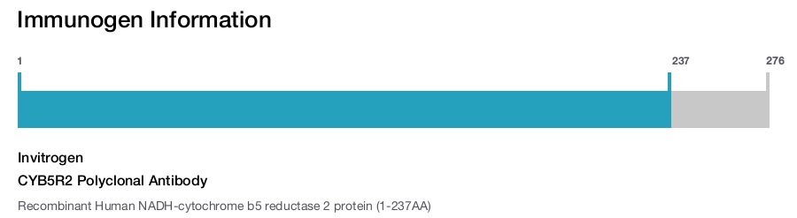 CYB5R2 Polyclonal Antibody