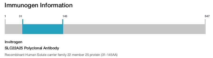 SLC22A25 Polyclonal Antibody