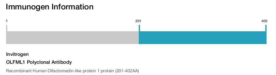 OLFML1 Polyclonal Antibody