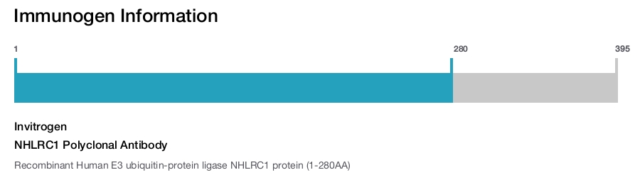 NHLRC1 Polyclonal Antibody