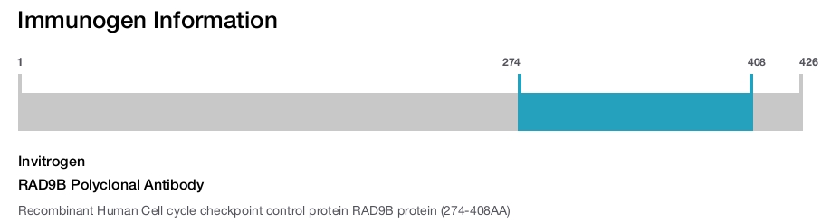 RAD9B Polyclonal Antibody