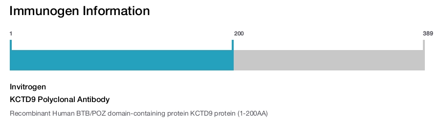 KCTD9 Polyclonal Antibody
