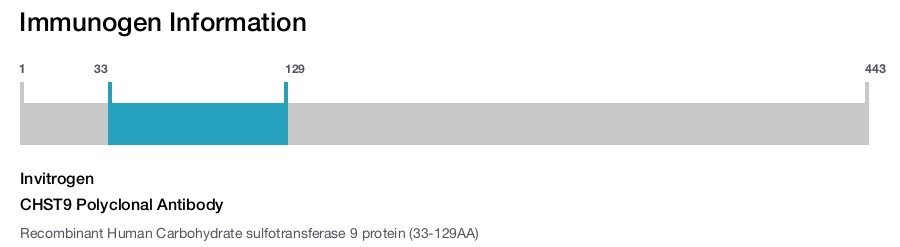 CHST9 Polyclonal Antibody