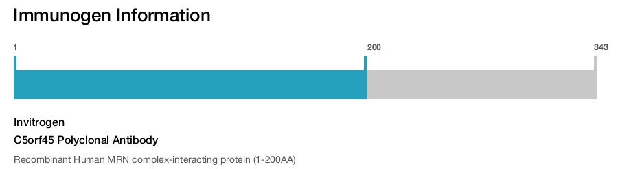 C5orf45 Polyclonal Antibody