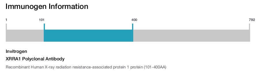 XRRA1 Polyclonal Antibody