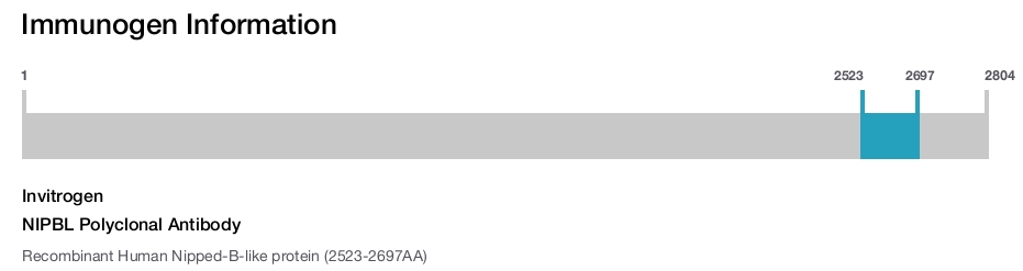 NIPBL Polyclonal Antibody