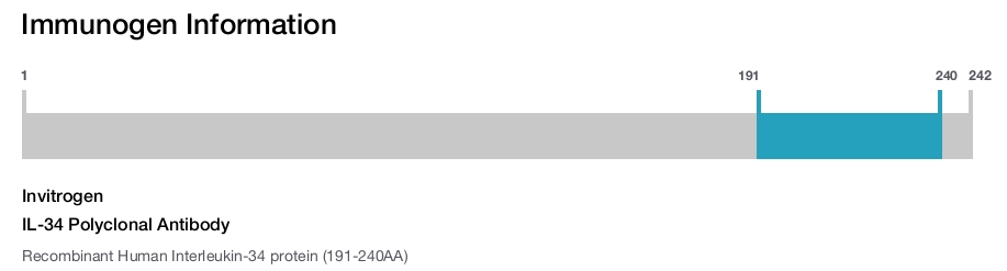 IL-34 Polyclonal Antibody