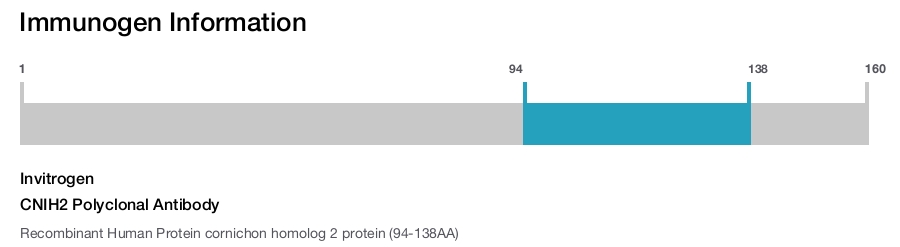 CNIH2 Polyclonal Antibody