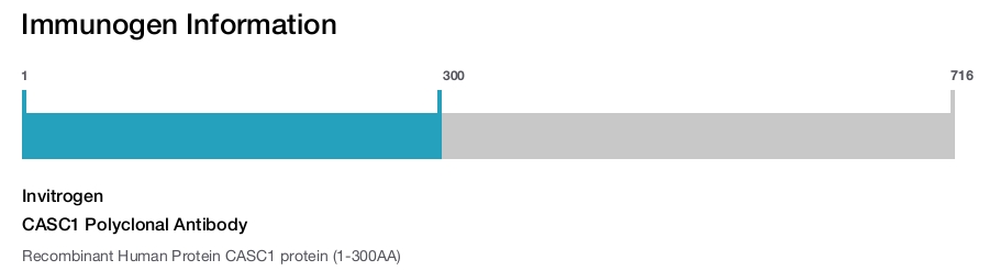 CASC1 Polyclonal Antibody