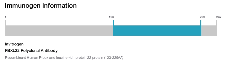 FBXL22 Polyclonal Antibody