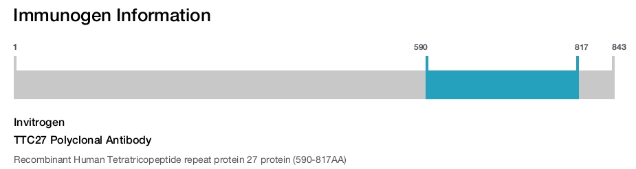 TTC27 Polyclonal Antibody