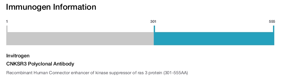 CNKSR3 Polyclonal Antibody