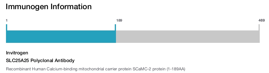 SLC25A25 Polyclonal Antibody