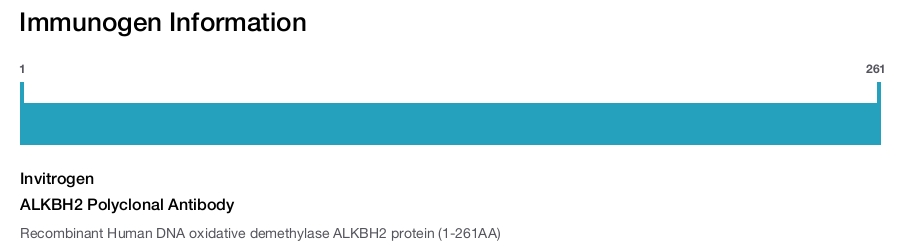 ALKBH2 Polyclonal Antibody