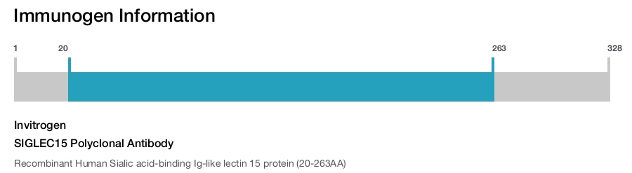 SIGLEC15 Polyclonal Antibody