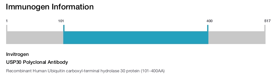 USP30 Polyclonal Antibody