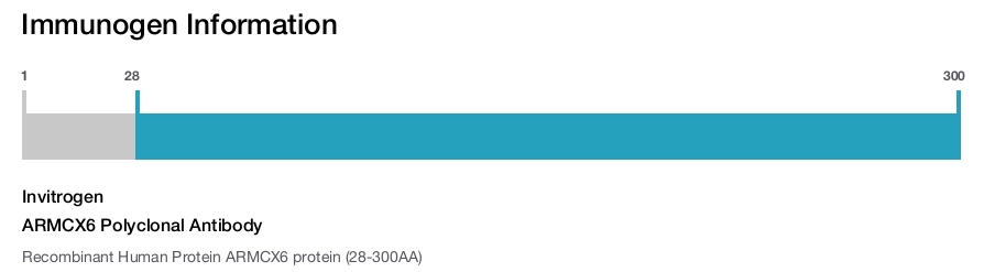 ARMCX6 Polyclonal Antibody
